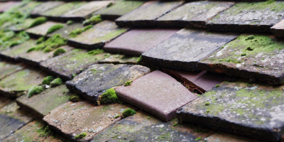 Llangwyllog roof repair costs